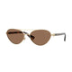LIGHT GOLD DARK BROWN 110973 / 58