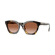 CHECK & STRIPED BROWN  398113 / 49