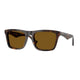 DARK HAVANA & DARK BROWN POLAR 300283 / 57