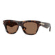 DARK HAVANA 300273 / 53