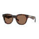 DARK HAVANA 300273 / 51