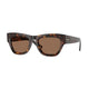 DARK HAVANA 300273 / 51
