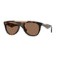 DARK HAVANA 300273 / 53