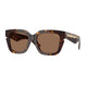 DARK HAVANA 300273 / 54