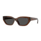 BROWN 411687 / 54