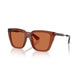 BROWN 419573 / 52