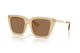 DARK BROWN YELLOW 419873 / 52