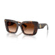 DARK HAVANA 300274 / 51