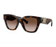 HAVANA BROWN 300213 / 53