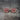 Capote Eyewear & Sunglasses