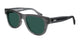 GREY & GREEN 005 / 55