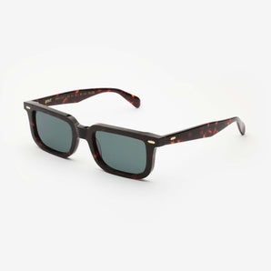 Gast Crazy Monday Classic Havana Cm02 Sunglasses - Dayal Opticals India