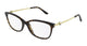 HAVANA GOLD 002 / 53