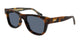 HAVANA & BROWN 006 / 55