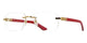 SHINY GOLD & RED  003 / 56