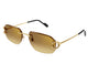 GOLD & BROWN 004 / 58