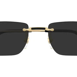 Cartier 0498S gold & grey 001 sunglasses,  size 55  - Dayal Opticals India        
