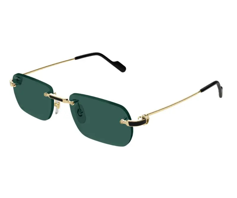 CARTIER 0498S – Dayal Opticals1
