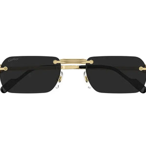 Cartier 0499S gold & grey 001 sunglasses,  size 55  - Dayal Opticals India            