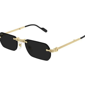 Cartier 0499S gold & grey 001 sunglasses,  size 55  - Dayal Opticals India            