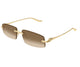 GOLD & BROWN 003 / 58
