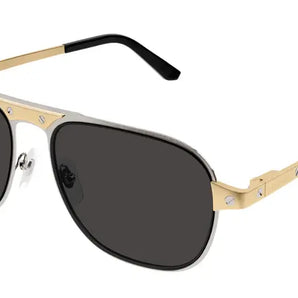 Cartier 0532S silver 01 sunglasses,  size 58  - Dayal Opticals India     