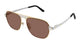 GOLD & BROWN 004 / 58