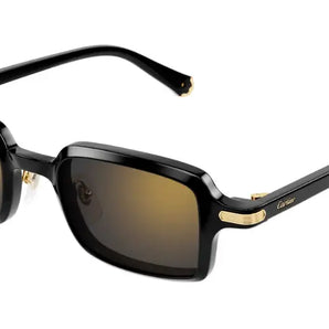 Cartier 0539S black 001 sunglasses,  size 49  - Dayal Opticals India     