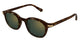 BROWN 002 / 49