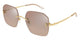GOLD BROWN 003 / 55
