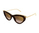 HAVANA BROWN GOLD 002 / 55