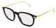HAVANA & GOLD 003 / 50