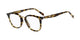 TORTOISE  3Y7 / .