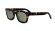 TORTOISE 52N / 51