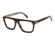 HAVANA & BROWN   86 / 53