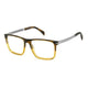 STRIPED BROWN RUTHENIUM   6KM / 57