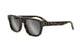 SHINY HAVANA & SILVER 20A4 / 55