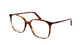 TORTOISE 2600 / 53
