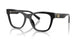 BLACK 501 / 53