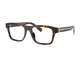 HAVANA BROWN 502 / 53