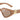 DOLCE GABBANA  4469