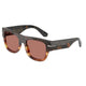 WARM BROWN HAVANA 3438M6 / 54