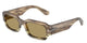 SHINY FADED BROWN GREEN TORTOISE 3439/2 / 54