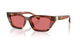 RED & BROWN 322175 / 53