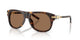 HAVANA & BROWN  502/73 / 56