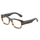 WARM BROWN HAVANA 3438 / 54