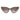 DSQUARED2 0134/S