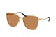 GOLD & BROWN   002 / .