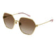 GOLD & BROWN   002 / 60