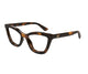 HAVANA BROWN 006 / 54